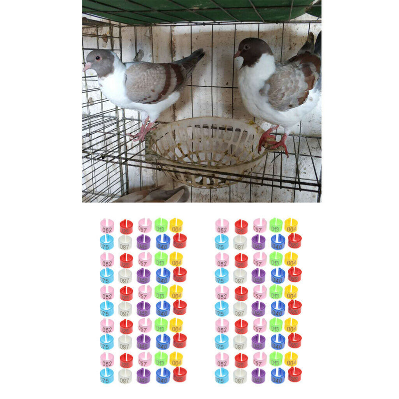 100Pcs Poultry Chick Chicken Duck Automated Management Chip Leg Foot Ring