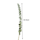 10Pcs/Bouquet Dried Natural Eucalyptus Branches Leaves Flower Decors New