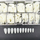 Super Thin Manicure Practice Polish Decoration Nail Art Extension Nails (2)