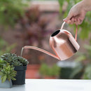 Stainless Steel Watering Can Kettle Garden Home Bottle Plants Flower SprinklZ9Y4