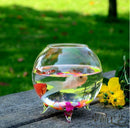 2Pcs Ball Glass Flower Vase Micro Landscape Fairy Garden Terrarium Bottle