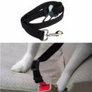 Pets Safety Seat Belt Car Harness Leash F. Cat Dog Adjustable Nylon Strap Tether