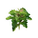 Artificial Sedum Succulent Bunch Big Leaf Foliage Plant Garden Decor Green