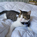 4PCs Pet Scarf Pet Bandana For Plaid Ties Collar Cat Dog Triangular BandageJ Kw