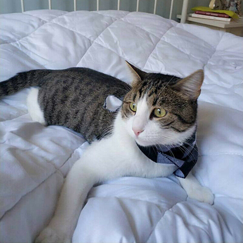 4PCs Pet Scarf Pet Bandana For Plaid Ties Collar Cat Dog Triangular BandageJ Kw