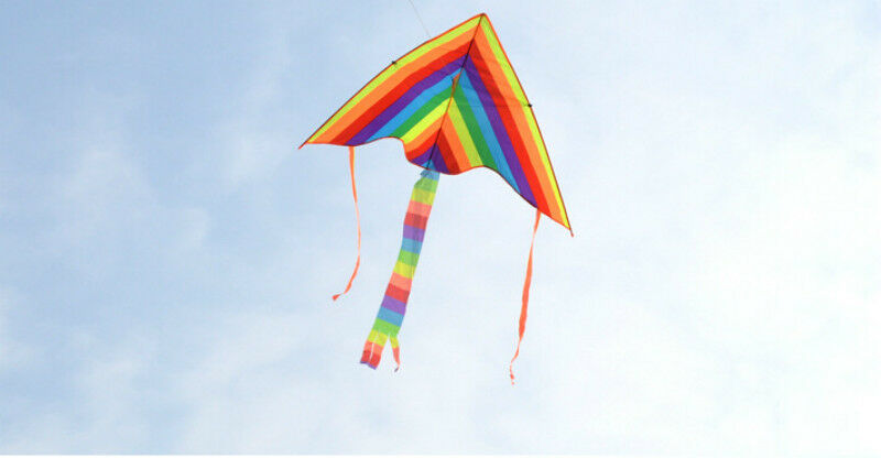 1m Rainbow Delta Kite outdoor sports for kids Toys easy to fly Hot!