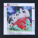 Diamond Painting Baby Pig Sleep on Strawberry Cross Stitch Embroidery Decor