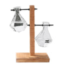 Creative Transparent Water Planting Glass Vase With Wooden Stand Desktop De S6X8