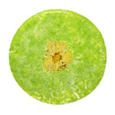 Organic Natural Hair Nourishing Solid Shampoo Soap Bar Polygonum Multiflorum
