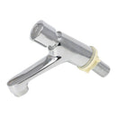 Auto Self Closing Water Saving Tap Basin Cold Faucet Delay Push Button Bathroom
