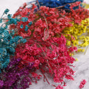 Garden Micro Landscape Accessories Dried Flowers Crystal Grass DIY Home DSEAU