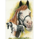 5D DIY Full Drill Diamond Painting Horse Cross Stitch Embroidery Kit (E)