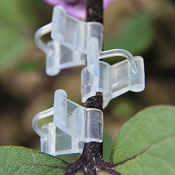 100Pcs Garden Plants Seedling Tools Fruit Vegetable Grafting Clips