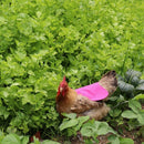 Single Strap Chicken Apron/Saddle, Feather Fix Protector for Poultry -Stand