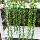 2x Artificial String of Pearls Hanging Plants Garden Wedding Flower Decor