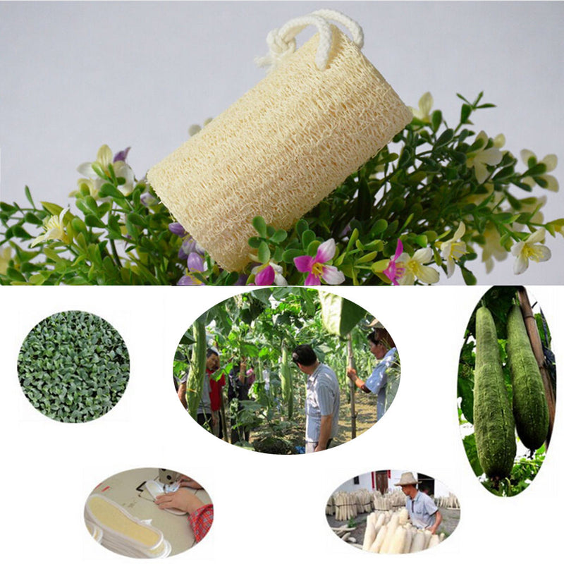 1X Natural Loofah Luffa Loofa Sponge Bath Shower Spa and Body Scrubber DuTOCA