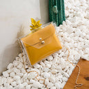 Transparent Chain Crossbody Clutch Shoulder Bags For Women Girls Mini MessenP5S1