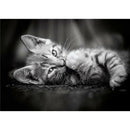 5D DIY Diamond Painting Lying Cat Full Round Drill Embroidery Home Decor