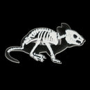 Acrylic Transparent Badges Brooches Animal Skeleton Lapel Pins (Style 6) A