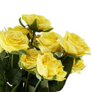 10 pcs Latex Real Touch Rose Decor Rose Artificial Flowers Silk Flowers Flo M7V3