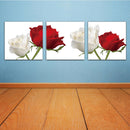 3 Panel Canvas Prints Artwork Modern Paintings Wall Art Home Decoration