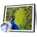 DIY Digital Painting By Numbers Peacock Frameless Canvas Picture Home Decor