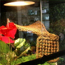 Bearded Dragon Hammock Lizard Lounger,100% Natural Seagrass Fibers for Rept J1R4
