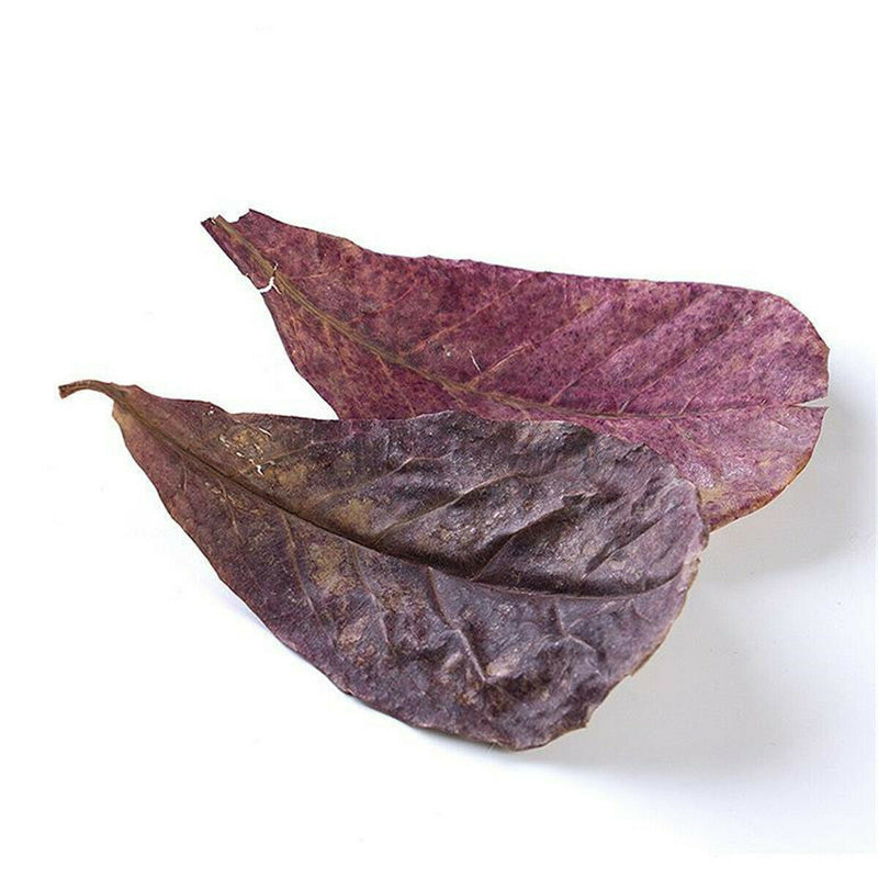 10pcs Natural Almond Leaves Shrimp Fish Aquarium Care Make Water Decor Supply