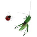 2 x Vivid Ladybug & Katydid Insect Imitation Animal Fridge Magnet Toys Outdoor