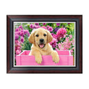 DIY 5D Diamond Embroidery Painting Cute Dog Cross Stitch Craft Home Decor