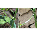 45cm & 60cm Climbing Plants Support Ring Garden Trellis for Flowers/Tomato
