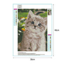 5D DIY Full Drill Diamond Painting Kitten Cross Stitch Embroidery Mosaic