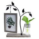Features With Hydroponic 6 Inch Hanging Double-Sided Photo Frame Creative P