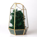 Geometric Glass Flower Pot DIY Terrarium Container Tealight Candle Holder