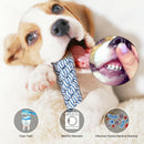Dog Rope Toys,10 Pack Puppy Chew Toys Set Dog Cotton Rope Knot And Teeth Cl