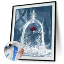 Frameless Painting By Numbers DIY Rose Hand Painted Canvas Oil Art Picture