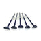 Dental Disposable Syringe Endo Refill Syringe Without Medical ! Tips Dentis Q2H3