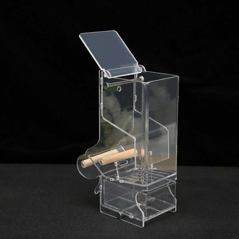 Pet Parrot Automatic Transparent Feeder Birds Splash-proof Food Dispenser