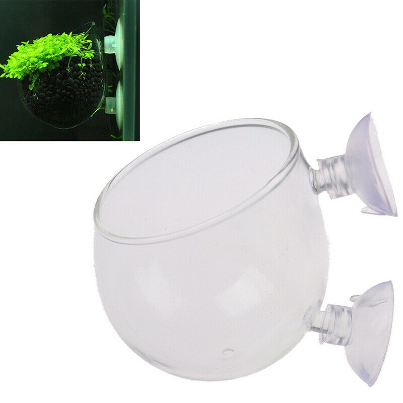 Fish Tank Mini Crystal Glass Pot Water Potted Aquatic Planting Cylinder Cup FT