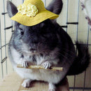 50g Natural Wood Chew Sticks Twigs Pets Rabbit Hamster Guinea Pig Toys B0X1