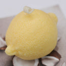 DIY  Cake Decor Fondant Mould Sugar Crafts Candy Mould -Lemon