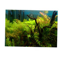 Aquarium Fish Tank Background Poster Grass Landscape Decor 61x30cm