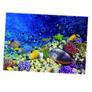 Aquarium Background Poster Fish Tank Wallpaper Decor Sea World  61x41cm