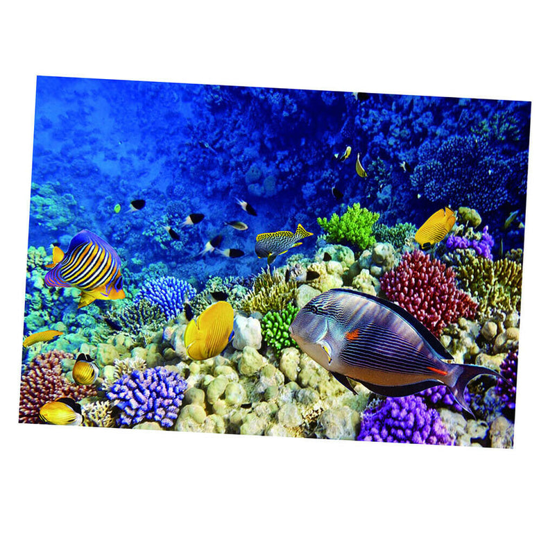 Aquarium Background Poster Fish Tank Wallpaper Decor Sea World  61x41cm