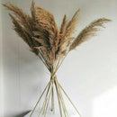 15x Natural Dried Pampas Grass Reed Flower Bunch Home Wedding Vase Decoration