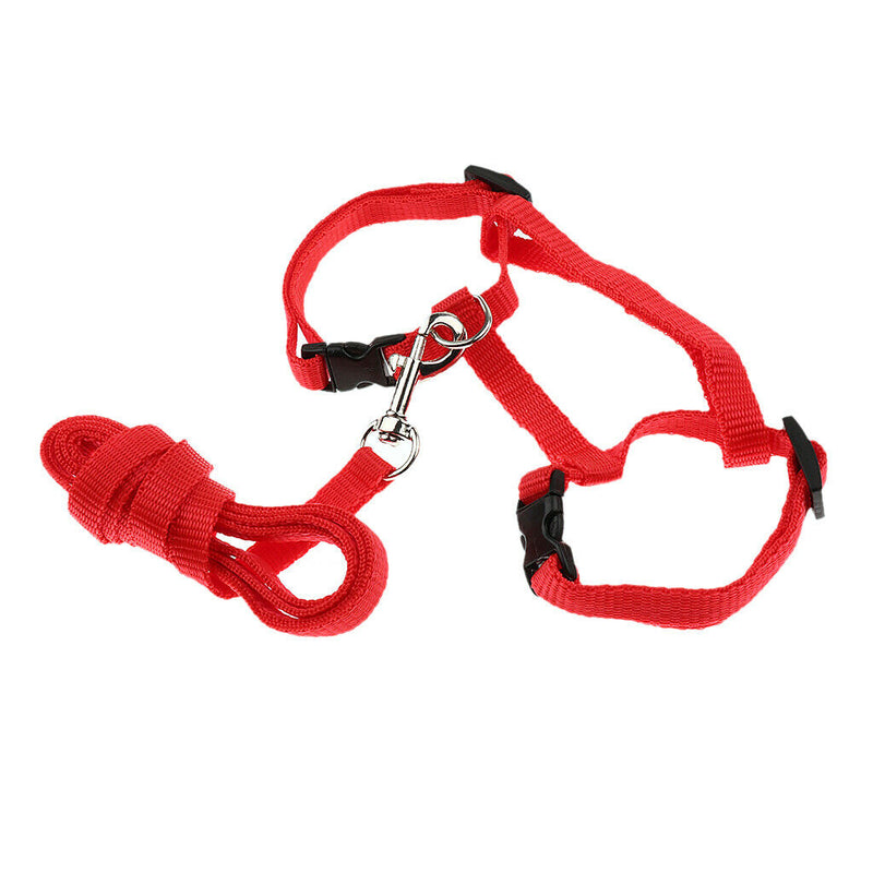 Adjustable Soft Rabbits Harness With Leash For Samll Animal Random