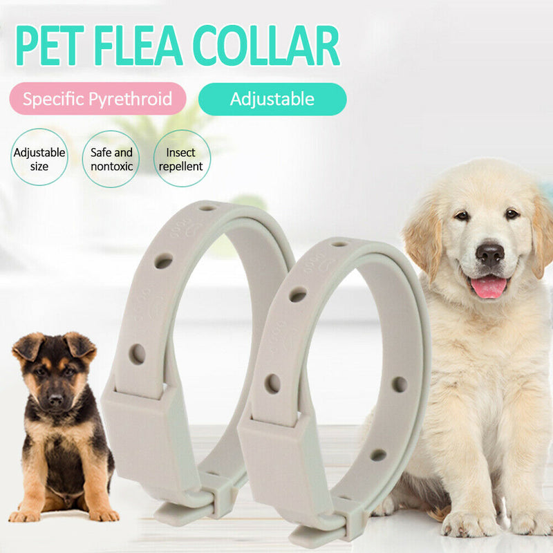Adjustable Pet Collar Anti Mosquito Flea Pest Control Dog Cats Necklace (B)