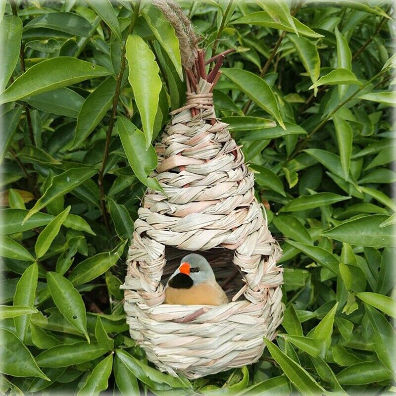 2 Pack Grass Bird Hut Bird House House Hanging Bird Nest Fiber Hand-Woven BiT2D8
