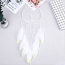 Luminous Feather Glow  in Dark Dream Catcher Night Bedroom Hanging White Gift