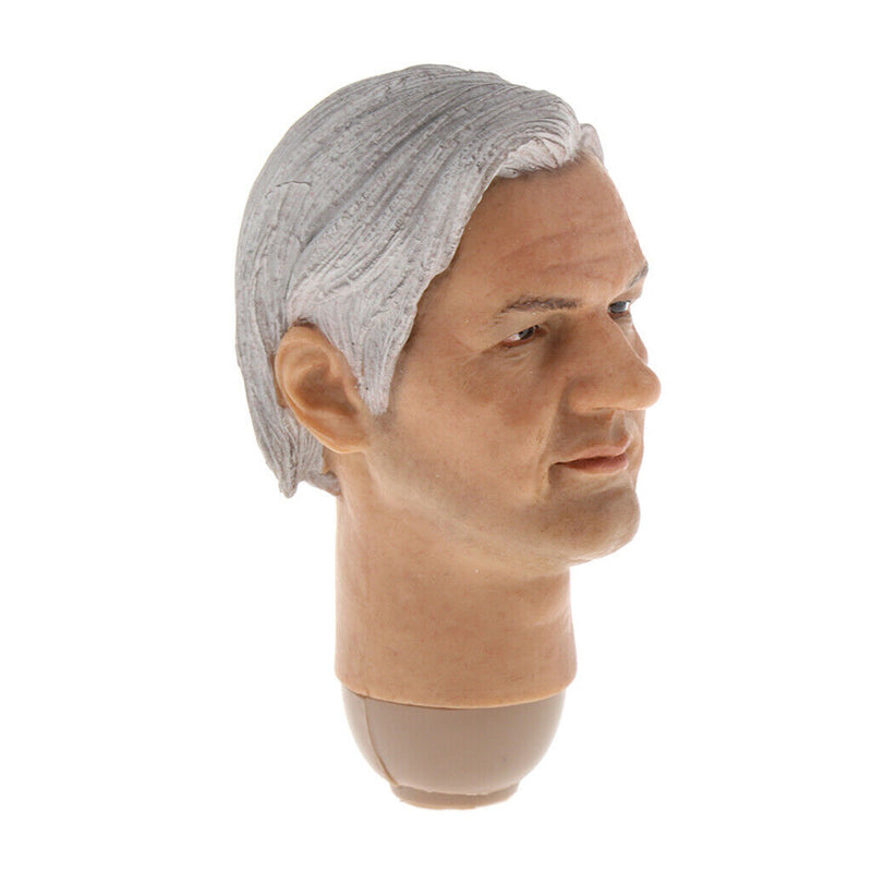 1/6 Scale Realistic Assange Head Sculpt for HT,   , PHICEN, PH, TBLeague Male